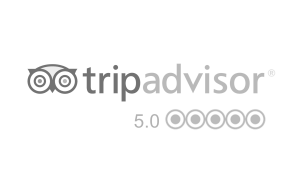 Our Tripadvisor reviews